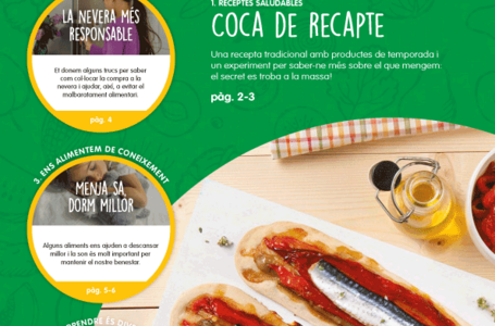Butlletí Nº13